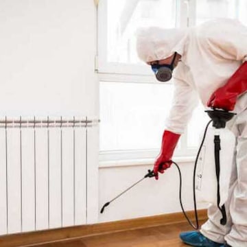 Anupma Pest Controller INDIA