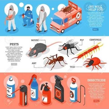 J D Pest Control Services