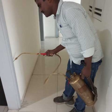 Shiv Pest Control