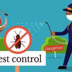 Global Pest Solutions