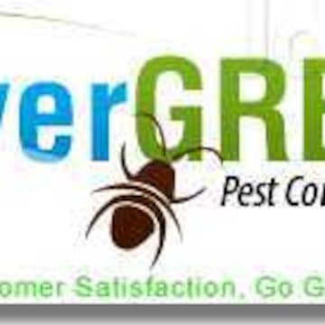 Evergreen Pest Control Service