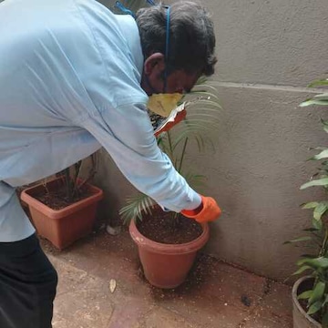 Samarth Pest Management