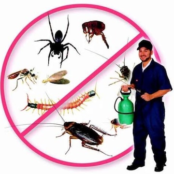 Neon Pest Control