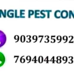 Ingle Pest Control