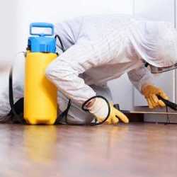 Pari Pest Control INDIA Pvt Ltd