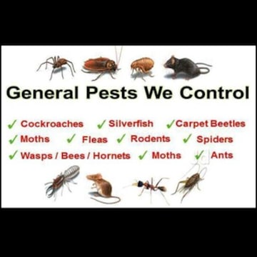 N P Master Pest Control Services