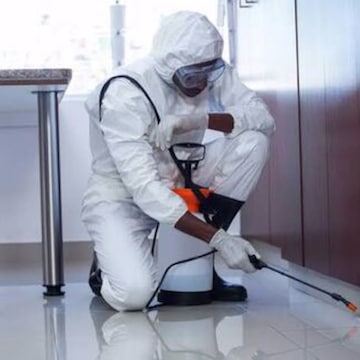 Panorama Pest Care Services