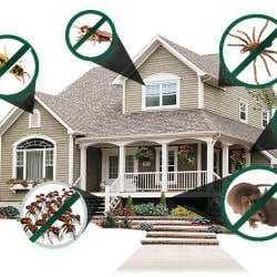 7 Star Pest Control Service