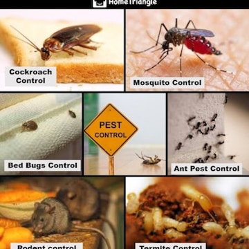 Ganesh Pest Control Services