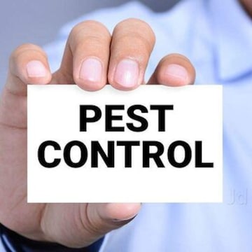 Ojas Pest Control Services