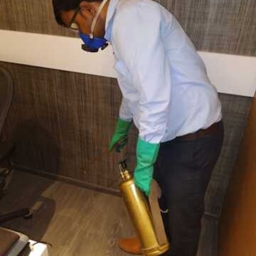 Pest Control Solutions