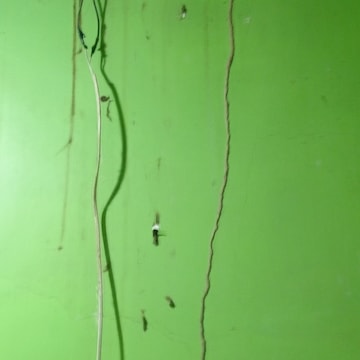 Vishaly Pest Control Service