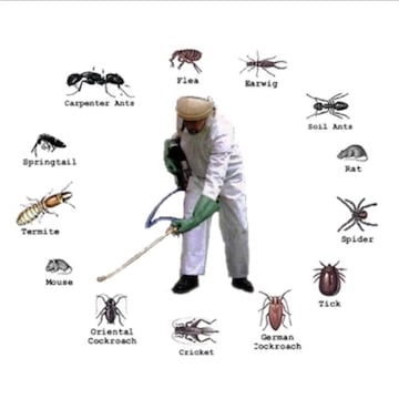 Roshani Pest Control Services