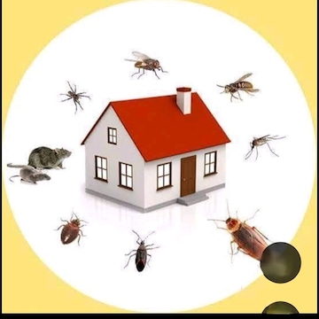 Happy Home Pest Control Services