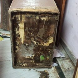 Sudiksha Pest Control Services