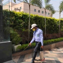 GREEN HOME SERVICES