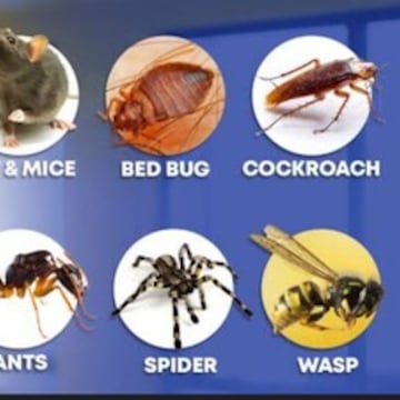 Kumar Sons Pest Control Services and Trading