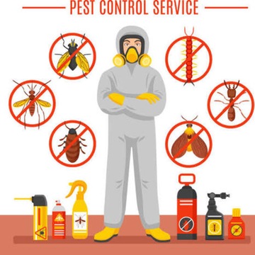 Home Care Pest Solution