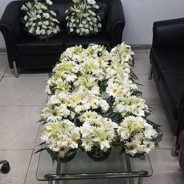 Ameya Flora